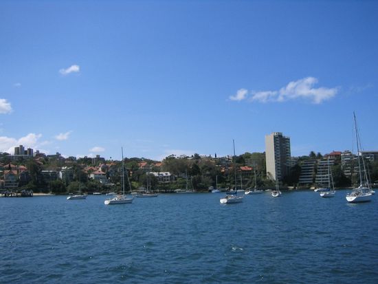 Neutral Bay - gleich gegenüber von unserem baldigen Appartment