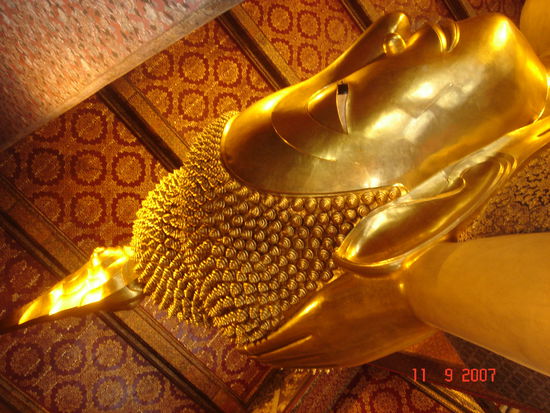 Das ist nur der Kopf, das ganze Ding ist 15 Meter lang!!!