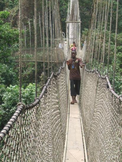 Carlos auf der Lianenbrücke