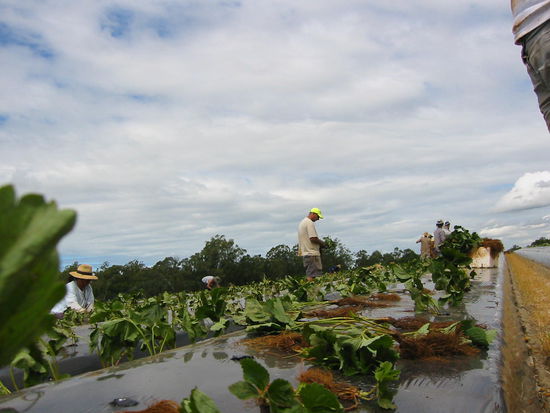 Another Point of view- weils so schön ist