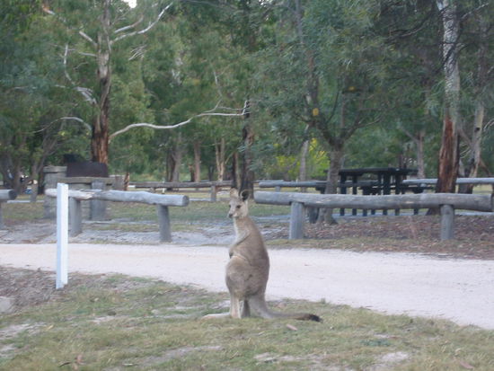 Unser 2. in verschiedenen Posen