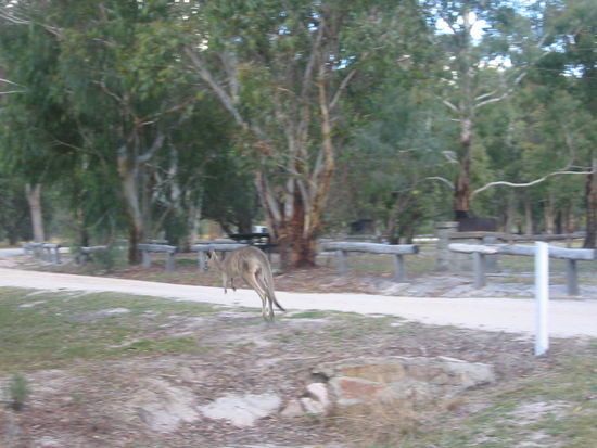 In die Flucht geschlagen...