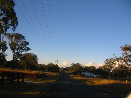Mitten in einer Busch-City, hier rockt das Kangoroo
