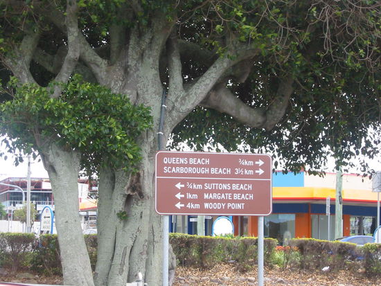 Wer die Wahl hat....