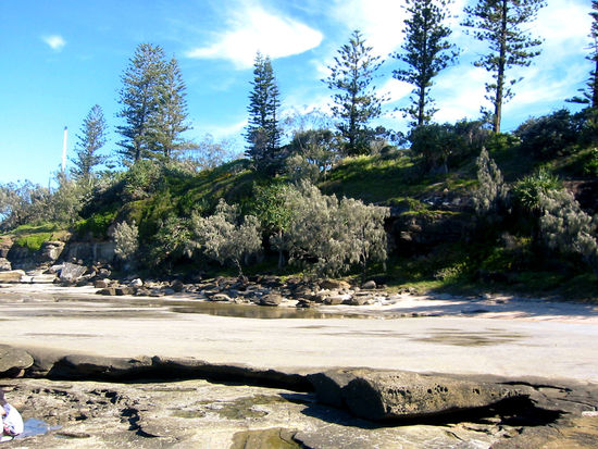 Winterzeit, seht ihr den Raureif an den Bäumen??? *grins