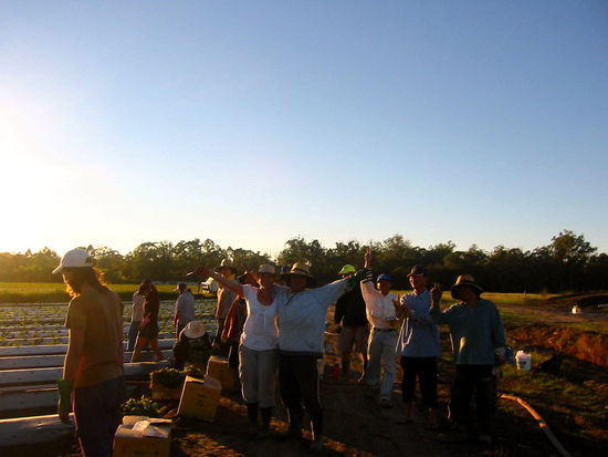 Bis zum nächsten Mal...