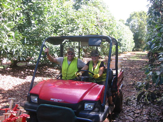 Unser Avocadomobil mit Allradantrieb