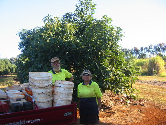 "The Wilsons" - unsere netten Kollegen
und ein unschlagbares Team, dem wir kaum hinterherkommen