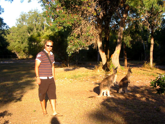 Hier mal ein paar kleine Skippies...