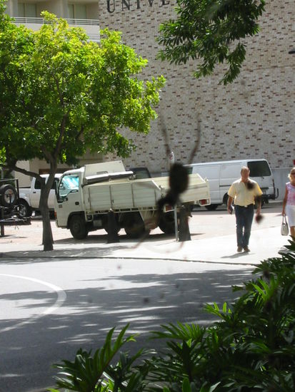 ...und hier das Verhältnis Mensch zu TierRIESIG....