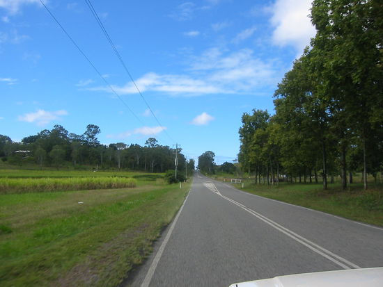 Der Sonne entgegen...