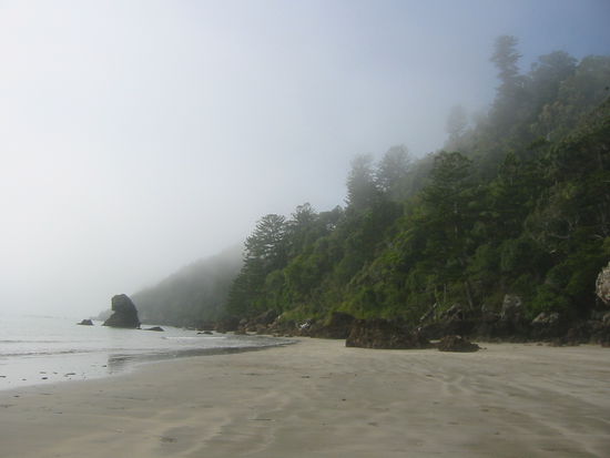 Richtig gespenstisch...