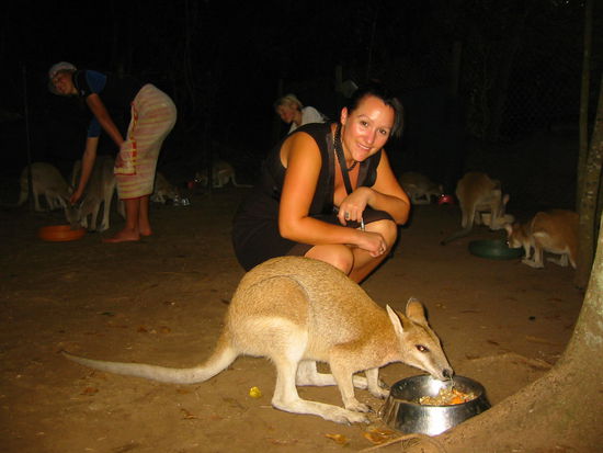 Tascha wartet auf ihren Napf, irgendwie muss man ja sparen...