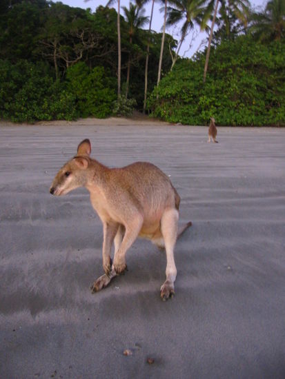 6 Uhr morgens am Strand...und ich bin schon wach