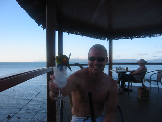 Sehr extravagante Cocktailschirmchen- ein Schluckspecht