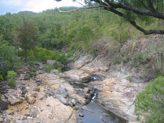 Alligator Creek
