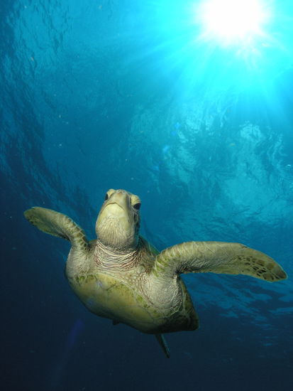 Die hier war handzahm...