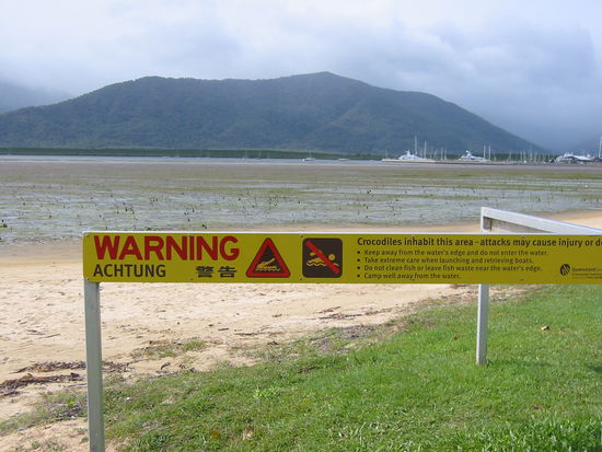 Ja, hier gibt es Krokodile direkt am Strand, gesehen haben wir aber keins