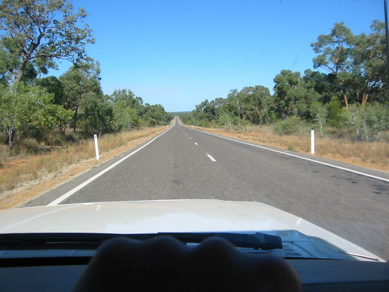 So grün war der Weg zu Anfang...