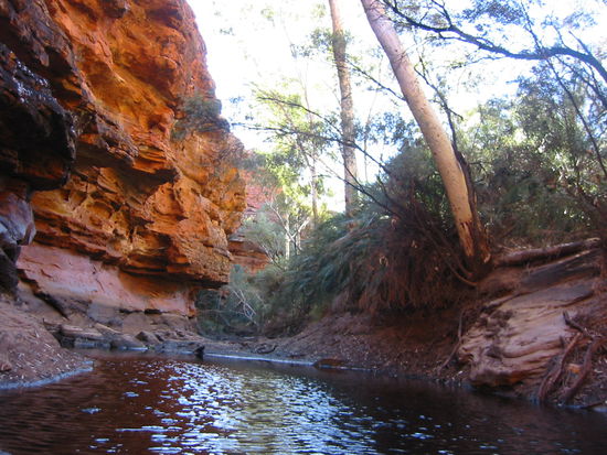 Wasserloch im Garten von Eden