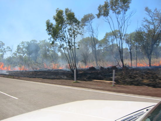 Hier is die Hölle los...