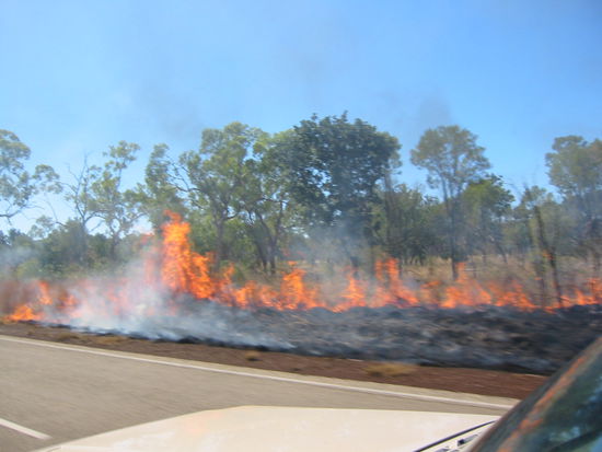 ...aber völlig normal für Australien!
