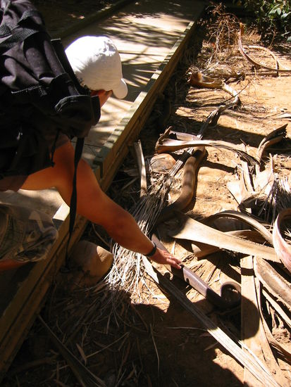 Was man nicht alles am Wegesrand findet