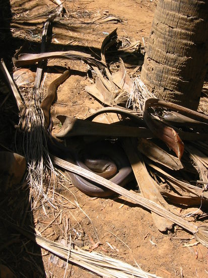 Musste leider feststellen, dass sie doch etwas zu schwer für Tascha´s Hals war.