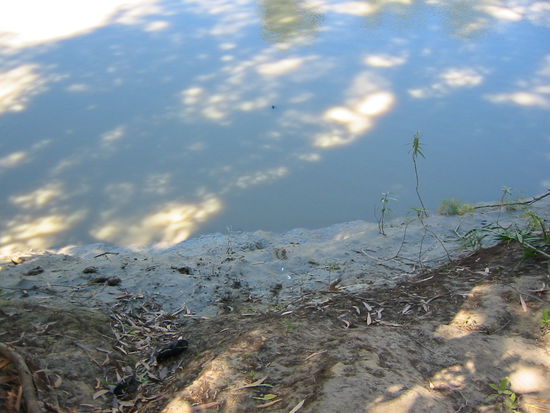 Da unten steckte ich knietief im Schlamm...