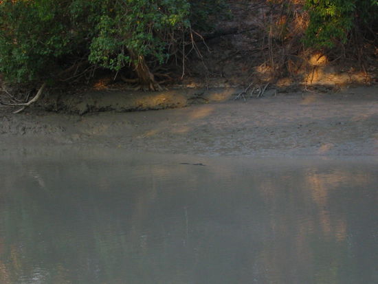 Das Schnappi war auf der anderen Seite zu sehen...