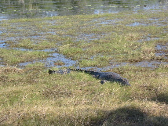 Nahaufnahmen können wir an dieser Stelle leider nicht liefern...