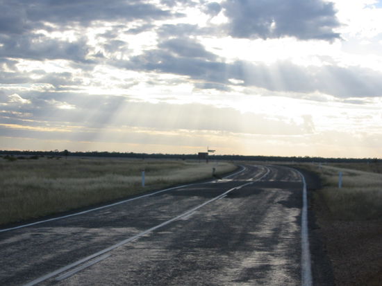 Den komischen grossen Vogel auf der Strasse hätten wir fast als Kühlerfigur gehabt...