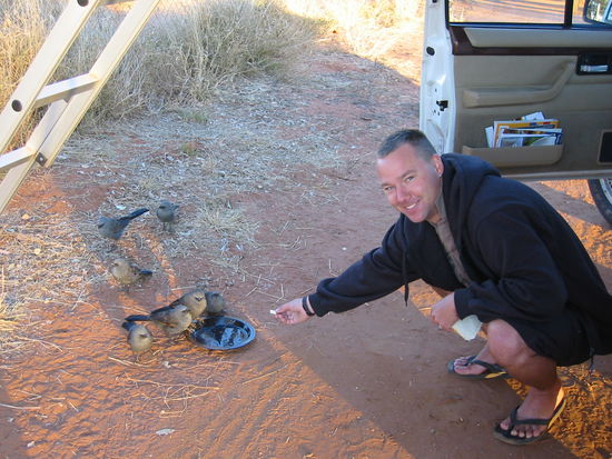 Raubtierfütterung am Morgen