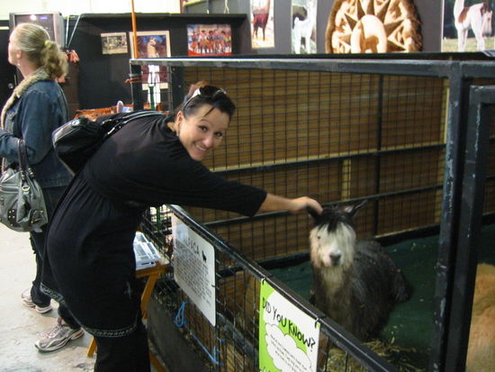 Das ist ein Alpaca (rechts