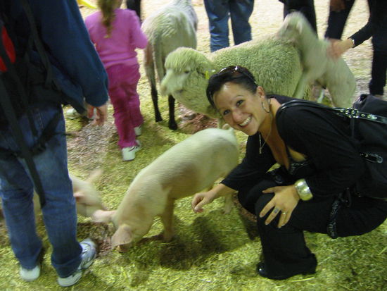 Drei kleine Schweinchen