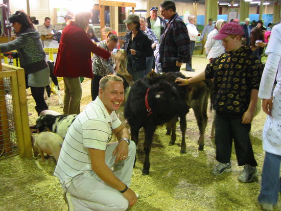 Hornochse im Streichelzoo