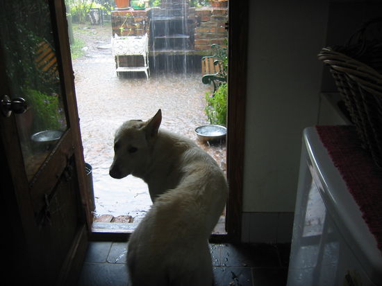 Muss ich wirklich raus???