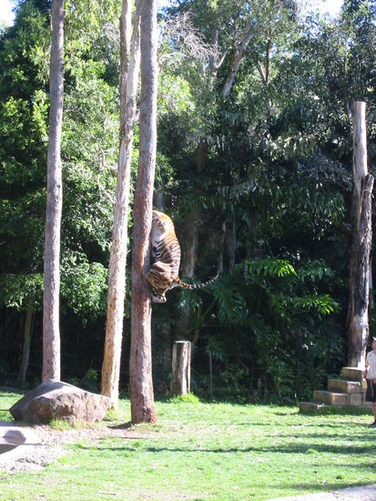 Ich bin zum Glück höher gekommen...