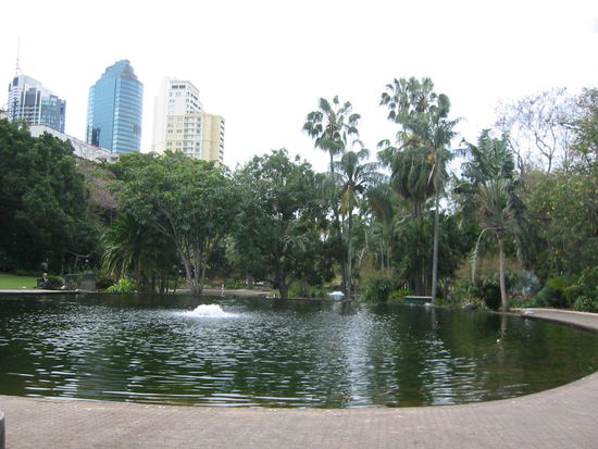 Oase inmitten der Grossstadt