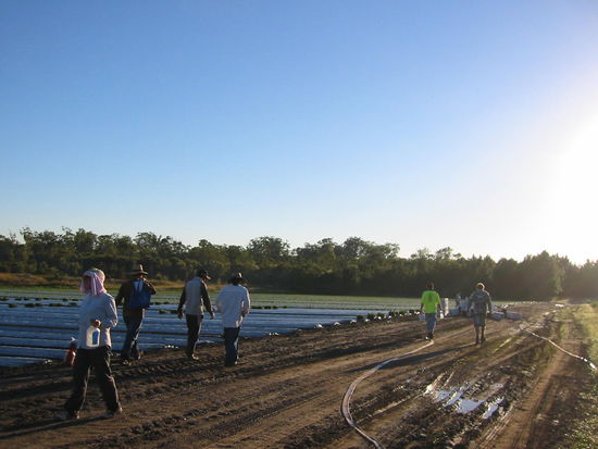 Die letzten Schritte in aufrechter Haltung