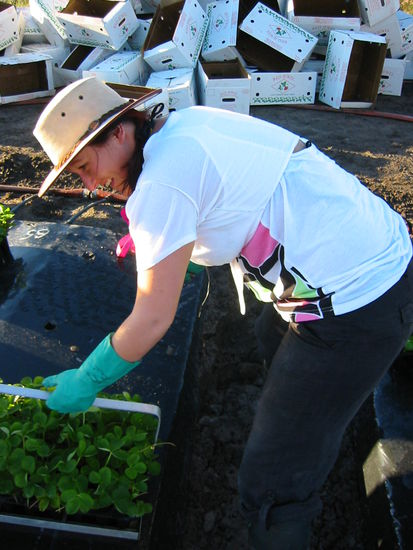 Erdbeer-Erna in Action!