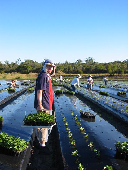 Mein neuer, toller Arbeitsplatz