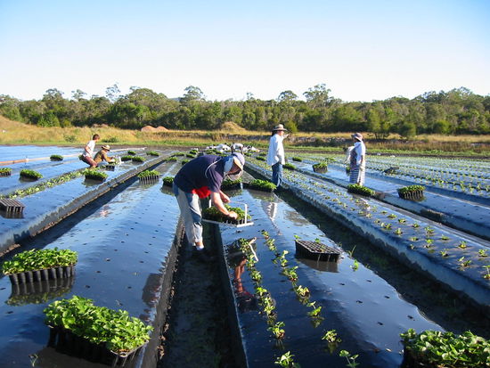 Sieht leichter aus als es sich anfühlt!