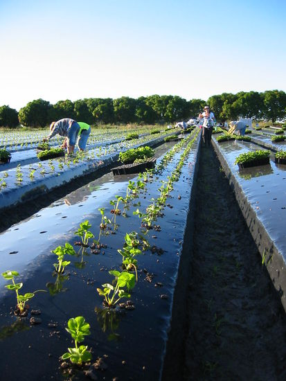 Die Reihe nimmt kein Ende