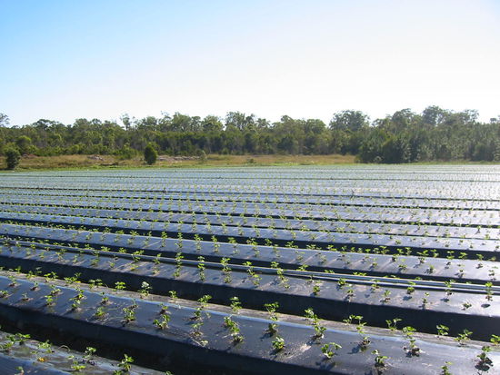 Da waren wir aber fleissig