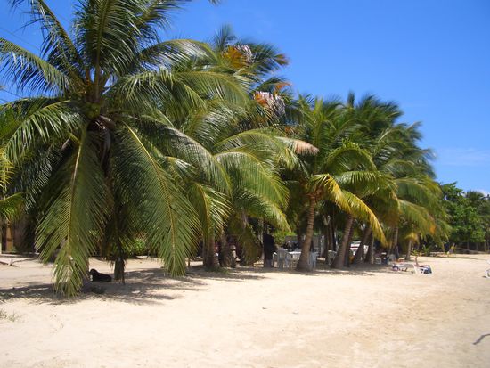 Strand von Roatan