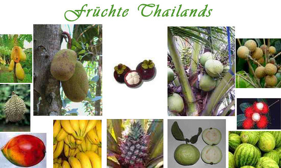 Durian, Ananas, Guave, Bananen, Jackfruit, Kokosnuss, Longan, Mango, Mangosteen, Melonen, Papaya, Rambutan