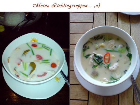 Kokosmilch-Suppe mit Hühnerfleisch oder Garnelen und Green Curry Suppe mit Feigen
