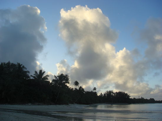 Morgenstimmung, alles erwacht