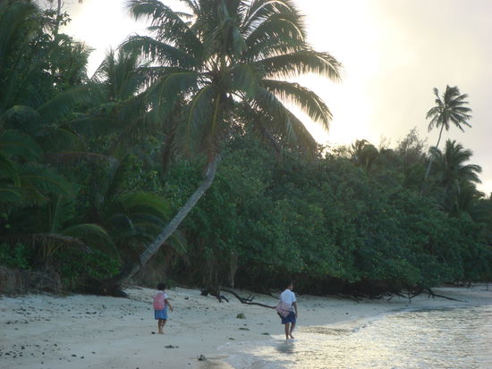 Welch ein schoener Schulweg!